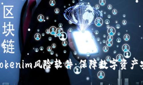 深入了解Tokenim风险软件：保障数字资产安全的关键