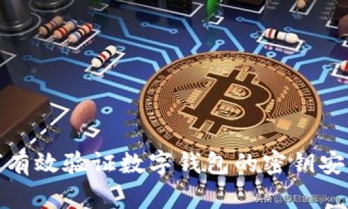 如何有效验证数字钱包的密钥安全性