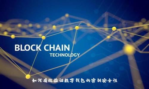 如何有效验证数字钱包的密钥安全性