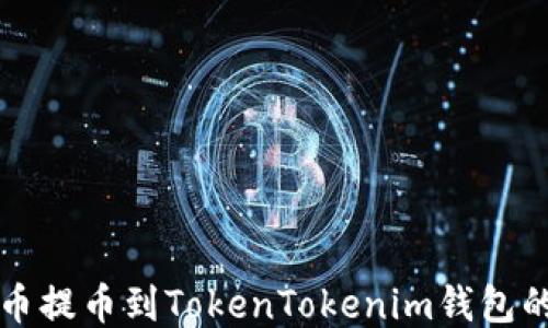 
如何将屎币提币到TokenTokenim钱包的详细指南