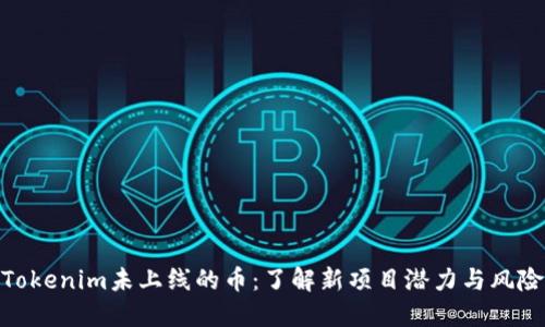 Tokenim未上线的币：了解新项目潜力与风险