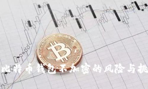 : 比特币钱包不加密的风险与挑战