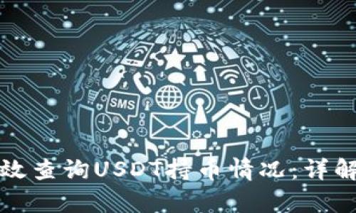 如何有效查询USDT持币情况：详解与指南