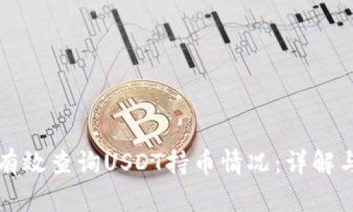 如何有效查询USDT持币情况：详解与指南