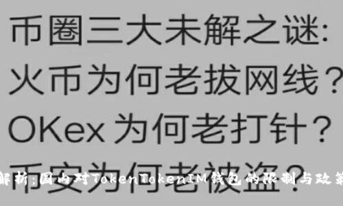 全面解析：国内对TokenTokenIM钱包的限制与政策解读