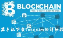 苹果手机下载Tokenim的详细