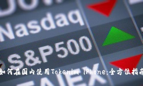 如何在国内使用Tokenim iPhone：全方位指南