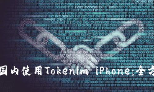 如何在国内使用Tokenim iPhone：全方位指南
