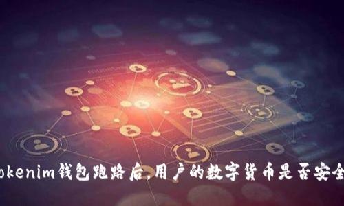 Tokenim钱包跑路后，用户的数字货币是否安全？
