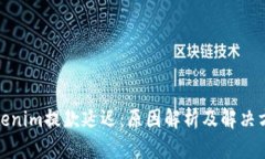 Tokenim提款延迟：原因解析