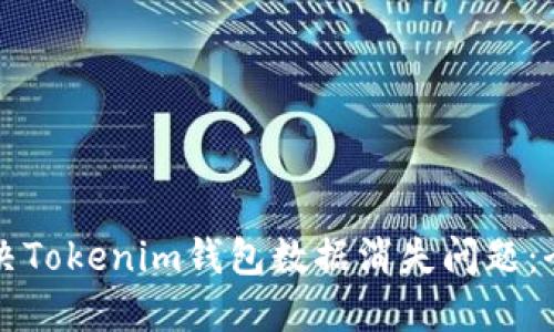 如何解决Tokenim钱包数据消失问题：全面指南