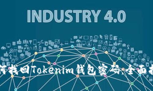 如何找回Tokenim钱包密码：全面指南