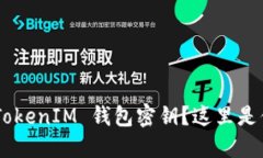丢失 TokenTokenIM 钱包密钥？