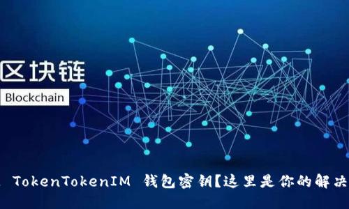 丢失 TokenTokenIM 钱包密钥？这里是你的解决方案