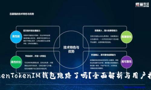 TokenTokenIM钱包跑路了吗？全面解析与用户指南