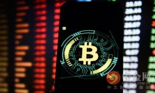 

数字虚拟钱包推荐：挑选适合你的理想数字钱包