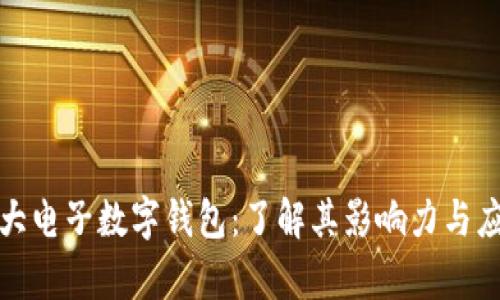 全球最大电子数字钱包：了解其影响力与应用前景