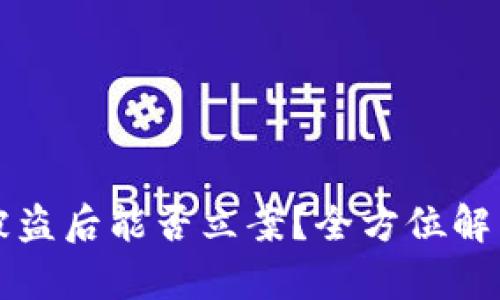 区块链钱包被盗后能否立案？全方位解析与应对策略