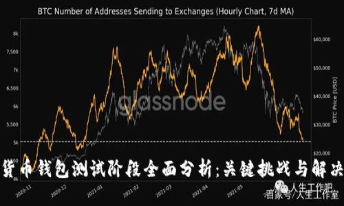 数字货币钱包测试阶段全面分析：关键挑战与解决方案