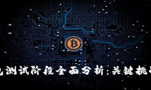 数字货币钱包测试阶段全面分析：关键挑战与解决方案