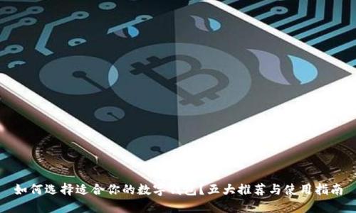 如何选择适合你的数字钱包？五大推荐与使用指南