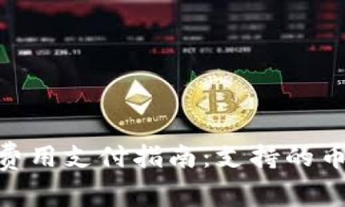 Tokenim矿工费用支付指南：支持的币种与支付方式
