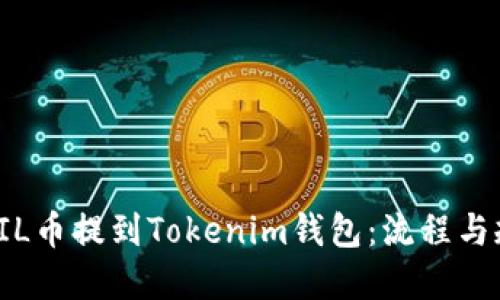 如何将FIL币提到Tokenim钱包：流程与规则详解