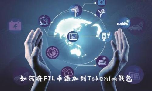 如何将FIL币添加到Tokenim钱包