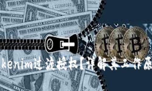 什么是Tokenim过渡授权？详解其工作原理与应用