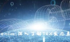 TRX能量与Tokenim：深入了解