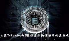 什么是Tokenim内测？探索区