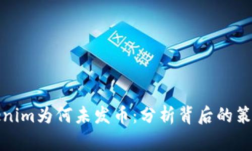 探秘Tokenim为何未发币：分析背后的策略与考量