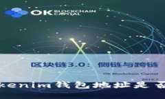 如何分辨Tokenim钱包地址是