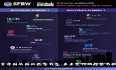 探索中国的国际数字钱包