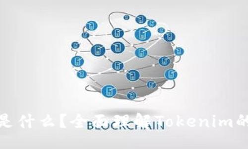 div
  Tokenim是什么？全面理解Tokenim的功能与应用