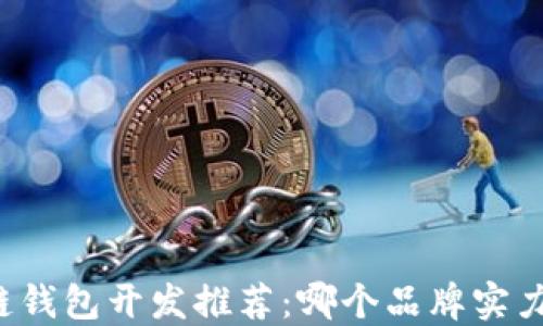 
区块链钱包开发推荐：哪个品牌实力最强？