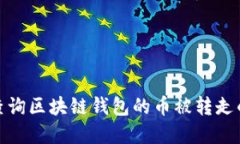 如何查询区块链钱包的币
