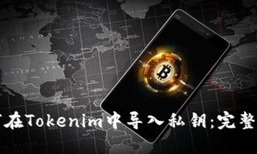 如何在Tokenim中导入私钥：完整指南