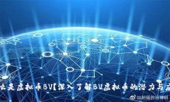 什么是虚拟币BV？深入了解