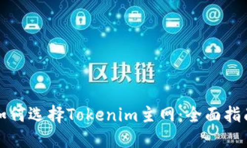 如何选择Tokenim主网：全面指南