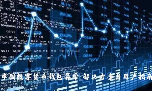 中国数字货币钱包异常：解决方案与用户指南