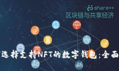 如何选择支持NFT的数字钱包：全面指南