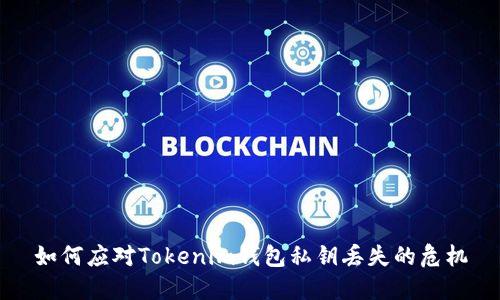 如何应对Tokenim钱包私钥丢失的危机