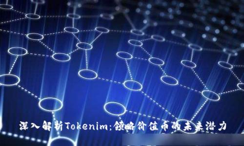 深入解析Tokenim：领略价值币的未来潜力