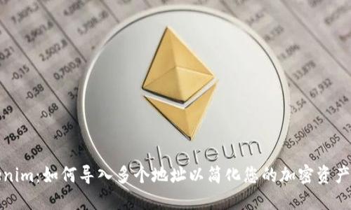 Tokenim：如何导入多个地址以简化您的加密资产管理