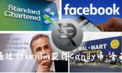 如何通过Tokenim获得Candy币：全面指南