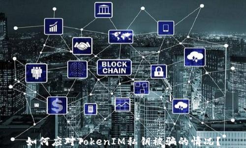 
如何应对TokenIM私钥被骗的情况？