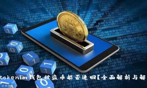 Tokentokenim钱包被盗币能否追回？全面解析与解决方案