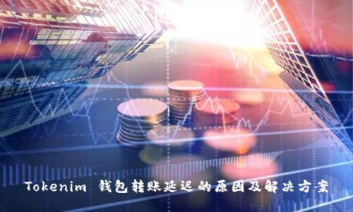 Tokenim 钱包转账延迟的原因及解决方案