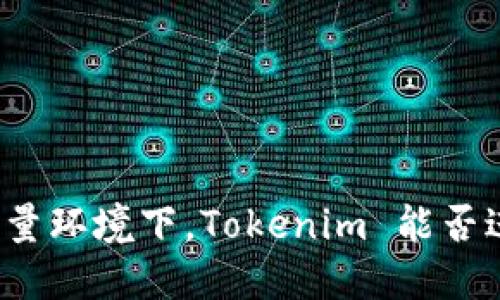 无网络流量环境下，Tokenim 能否进行转账？